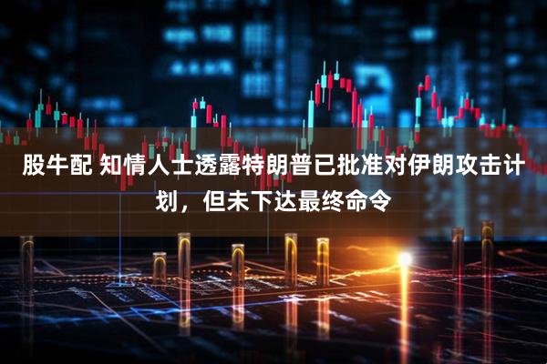 股牛配 知情人士透露特朗普已批准对伊朗攻击计划，但未下达最终命令