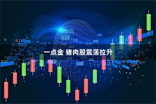 一点金 猪肉股震荡拉升