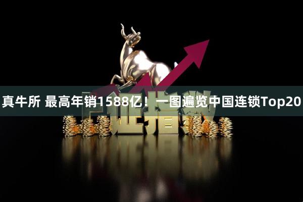 真牛所 最高年销1588亿！一图遍览中国连锁Top20
