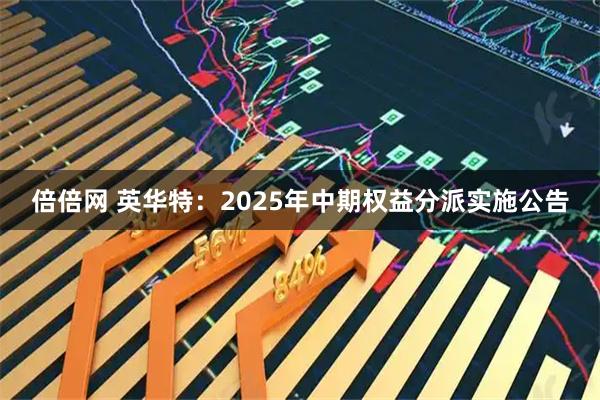 倍倍网 英华特：2025年中期权益分派实施公告