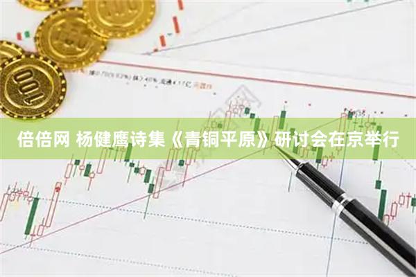 倍倍网 杨健鹰诗集《青铜平原》研讨会在京举行