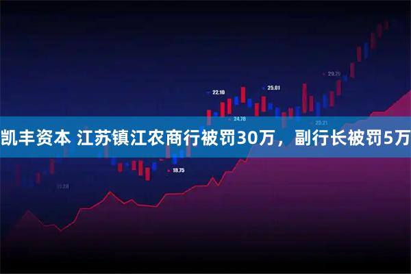 凯丰资本 江苏镇江农商行被罚30万，副行长被罚5万