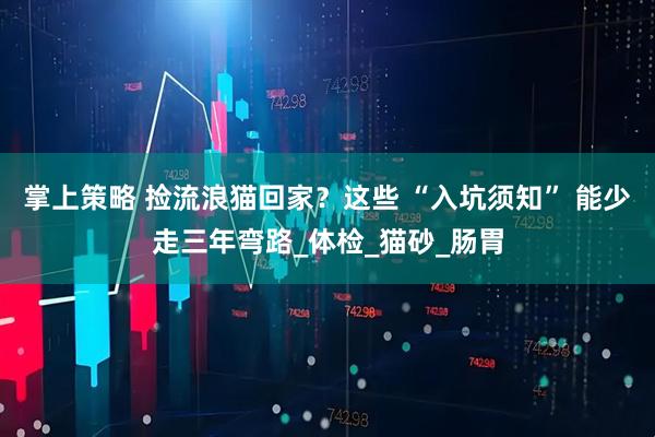 掌上策略 捡流浪猫回家？这些 “入坑须知” 能少走三年弯路_体检_猫砂_肠胃